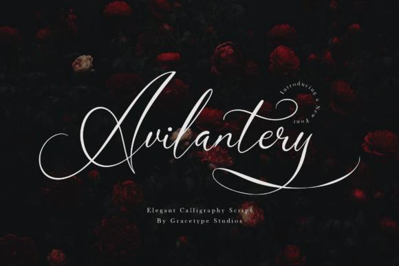 Avilantery: The Elegant Calligraphy Script for Romantic Digital Branding